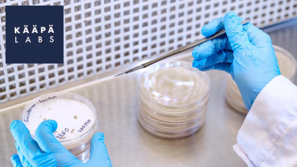 KÄÄPÄ Labs